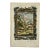 Antelopes Original Print by Johann Jakob Scheuchzer, 1731 For Sale