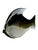 Grey Murano Glass Fish, 1960s For Sale - Image 13 of 13