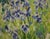 Georgij Moroz, Purple Iris, Oil on Canvas, 1995 For Sale - Image 4 of 6