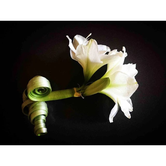 Photographic paper, matt finish. Excellent condition.