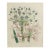 Victorian Blooms: Pair of Botanical Prints by Jane Wells Loudon, Plates 11 & 31, Circa 1843 This exquisite pair of hand-...