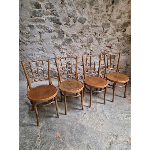 Vintage Bentwood Bistro Chairs from Fischel, Czechoslovakia, 1940s, Set of 4 For Sale - Image 4 of 18