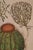 Realism Basilius Besler Cactus & Rose of Jericho Plants: A Besler Hand-colored Botanical Engraving, 1713 For Sale - Image 3 of 6