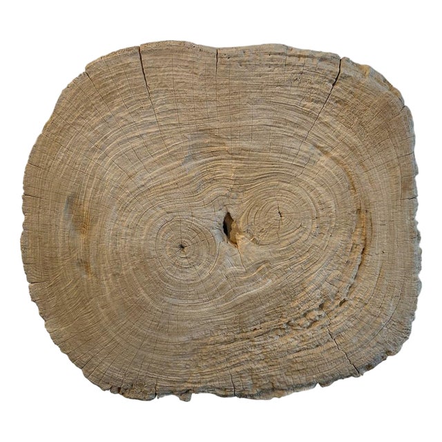 Andrianna Shamaris Rare Bleached Teak Wood Slab For Sale