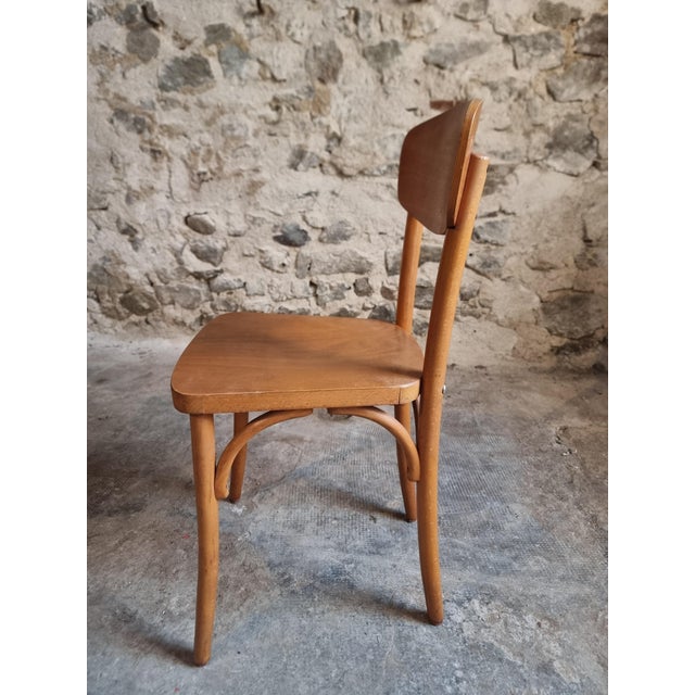 Vintage French Bentwood Bistro Chairs from Luterma, 1950s-1970s, Set of 6 For Sale - Image 18 of 18