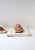 Tan Seashells Natural, Set of 4 For Sale - Image 8 of 10