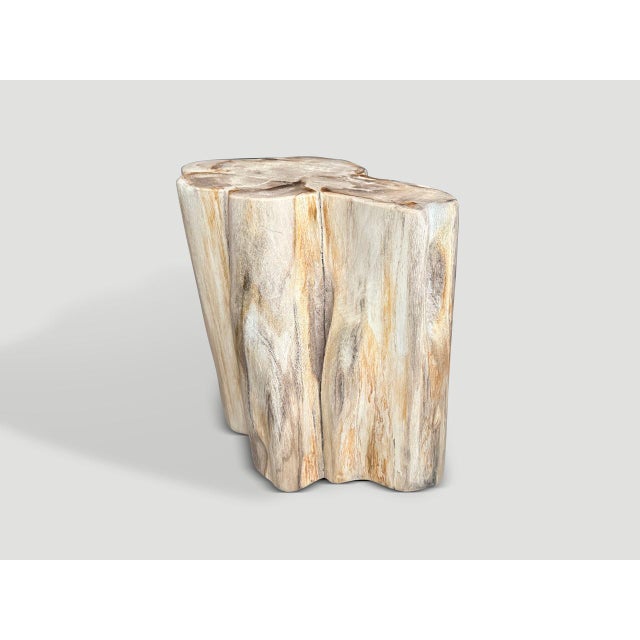 Contemporary Andrianna Shamaris Impressive High Quality Ancient Petrified Wood Side Table For Sale - Image 3 of 7