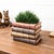 Add vintage literary charm to your decor with this Decorative Book Stack Vase. Designed to resemble a stack of classic...