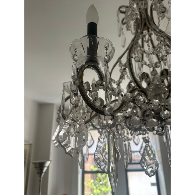 1950s Venetian Style Chandelier For Sale In New York - Image 6 of 8