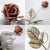 Vintage Italian Handmade Sterling Silver 925 Long Stem Enameled Red Rose, Padua, Italy, 1970s For Sale - Image 4 of 18
