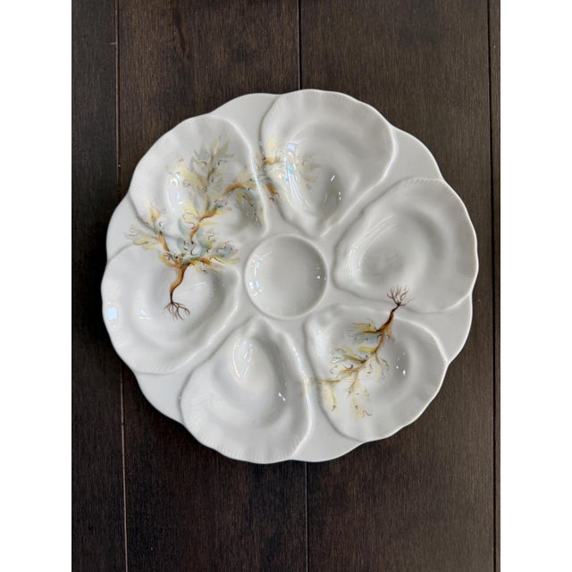 Late 19th Century French Le Chambrelain Porcelain Hand-Painted Seaweed Oyster Plates - Set of 8 For Sale In Philadelphia - Image 6 of 13