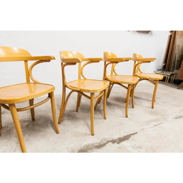 Vintage Bistro Armchairs, 1960s, Set of 4 For Sale - Image 16 of 18