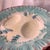 French Antique French Majolica Asparagus Shell Plates Attributed to Salins For Sale - Image 3 of 4