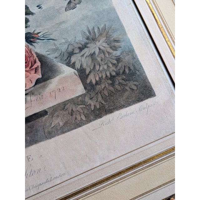 Jan Van Huysum, A Flower Piece and a Fruit Piece, London: Richard Earlon and John Boydell, 1778, Watercolors on Mezzotint, Framed, Set of 2 For Sale - Image 15 of 18