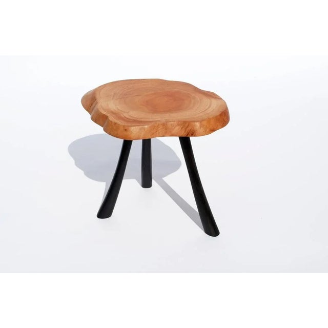 Contemporary Bog Oak and Olive Table by Jörg Pietschmann For Sale - Image 3 of 7