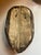 Primitive Mask (Drayton Island) For Sale - Image 4 of 4