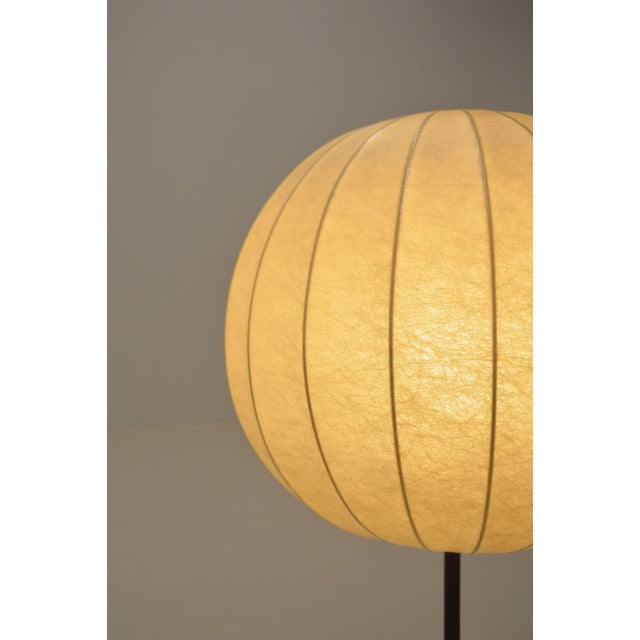 1960s Vintage Cocoon Tripod Floor Lamp with Brass Accent, 1960s For Sale - Image 5 of 11