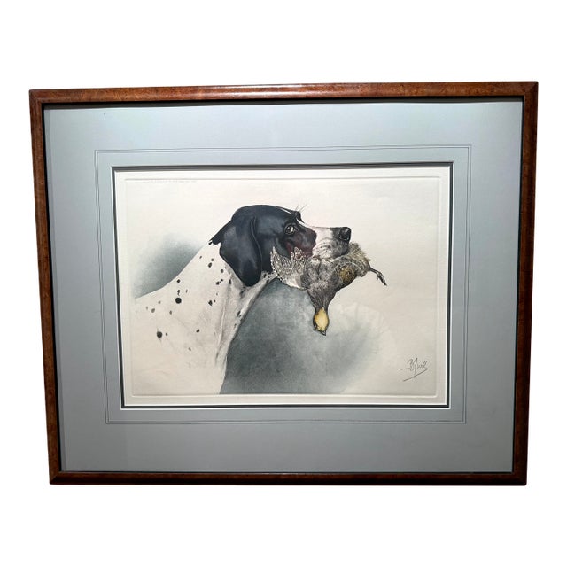 Framed Colored Etching of English Pointer Dog With Partridge, by Boris Riab, C 1940s For Sale