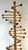 Modern Scandinavian Modern Atomic Coat Stand, Style of Nanna Ditzel, Denmark, 1970s For Sale - Image 3 of 17