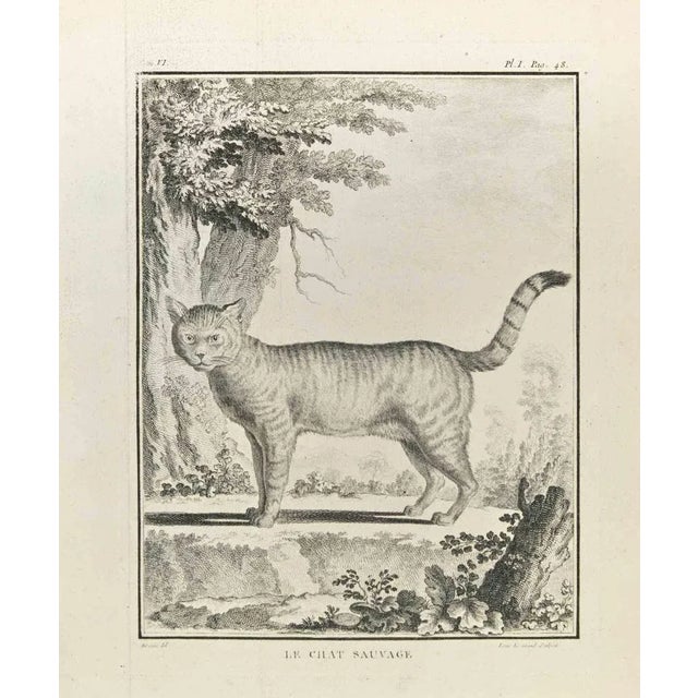 Le Chat Sauvage is an etching realized in 1771 by Louis Legrand (1723-1807). The Artwork is depicted through confident...