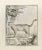 Le Chat Sauvage is an etching realized in 1771 by Louis Legrand (1723-1807). The Artwork is depicted through confident...