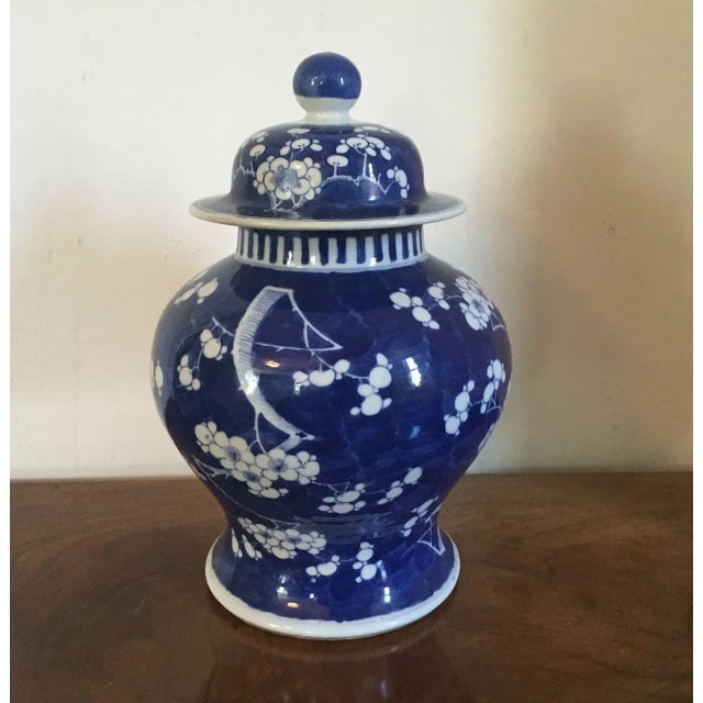 Ceramic 19th Century Chinese Blue & White Porcelain Prunus or Hawthorne Urn For Sale - Image 7 of 11