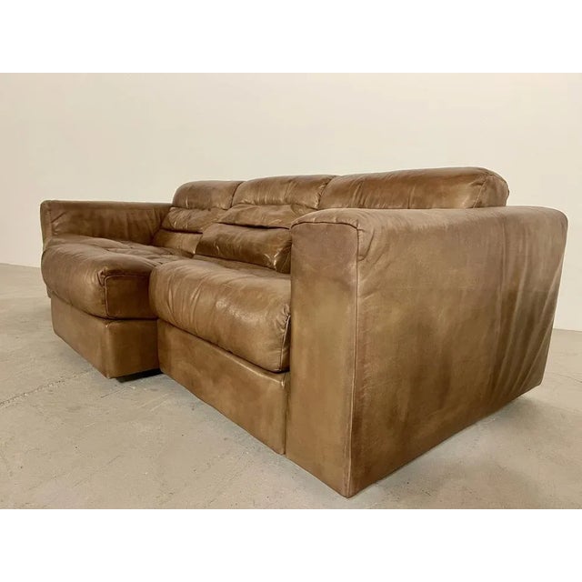 Animal Skin DS105 Sofa from de Sede For Sale - Image 7 of 12