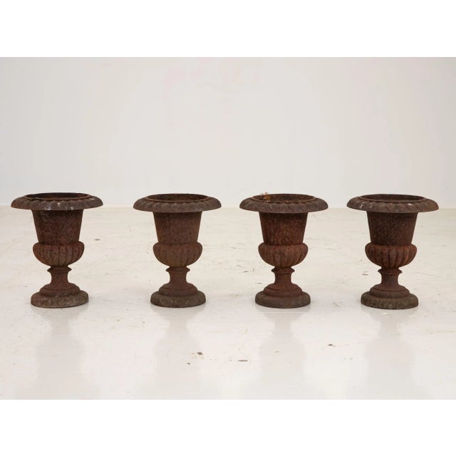 Pair of Cast Iron Urns, French 19th Century For Sale - Image 12 of 13