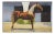 Vintage Kellogg Arabian Horse Antez Postcard Print For Sale