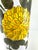 1970s 1970s Italian Hand-Painted Ceramic Sunflower Umbrella Stand For Sale - Image 5 of 9