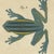 Paper Bertuch, Four Colourful Tree Frogs, 1815, Print For Sale - Image 7 of 12