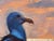 Early 21st Century Sea Gull by Ryan Morse | Oil on Panel Painting of a sea gull by the ocean at sunset For Sale - Image 5 of 5