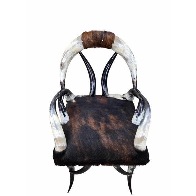 American Antique Rustic Western Steer Horn Chair For Sale - Image 3 of 8
