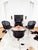 Animal Skin Rizzatto Alias 901 Young Lady Chair w/ Black Seat & Cane Aluminum Frame For Sale - Image 7 of 18