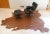 Auburn Late 20th Century Cow Leather Hide Skin Rug Spain For Sale - Image 8 of 8