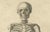 Mid 18th Century Anatomical Skeleton Study, 1745, Paper For Sale - Image 5 of 9