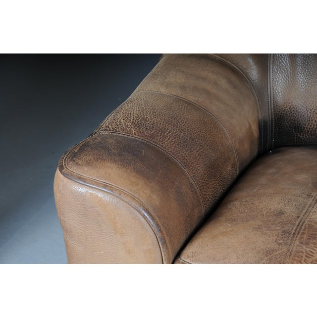 Animal Skin DS44 2-Seater Sofa in Buffalo Leather from de Sede, 1970s For Sale - Image 7 of 18