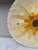 French Country French Majolica White Daisy Plate Orchies, Circa 1890 For Sale - Image 3 of 4