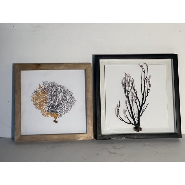 Coastal Two Natures Beauty Sez Brunches Framed For Sale - Image 3 of 9