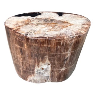 Andrianna Shamaris Ancient High Quality Petrified Wood Side Table For Sale