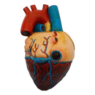 1940s Heart Anatomical Model Life Size For Sale