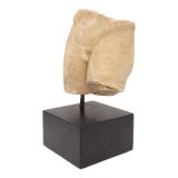 Marble Torso, Italy 18th Century or Earlier For Sale