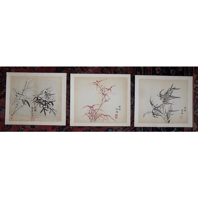Vintage Signed Chinese Botanical Color Lithographs - Set of 3 For Sale - Image 9 of 9