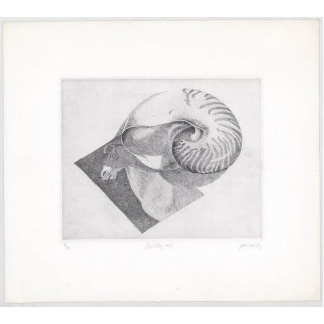 Etching by Maine artist Pat Hardy (born 1940). "Nautilus #3," pencil signed, titled and numbered 2 of 50.
