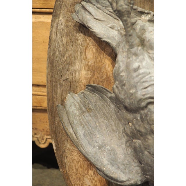 More information coming soon… The weathered appearance of these French hunt trophies is accentuated by the variegated...