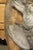 More information coming soon… The weathered appearance of these French hunt trophies is accentuated by the variegated...