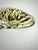 Hand-Painted Tiger Art Stone Sculpture Signed "Lisa" | One-of-a-Kind Wildlife Decorative Object For Sale - Image 4 of 7