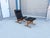 1980s 1960s Danish Modern "Siesta" Lounge Chair and Ottoman Set For Sale - Image 5 of 12