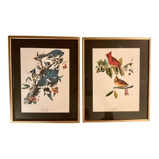 1960s Pair Audubon Folio Prints John James Audubon Blue Jay and Cardinal Grosbeak Giltwood Framed Black Matte. For Sale