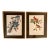 1960s Pair Audubon Folio Prints John James Audubon Blue Jay and Cardinal Grosbeak Giltwood Framed Black Matte. For Sale